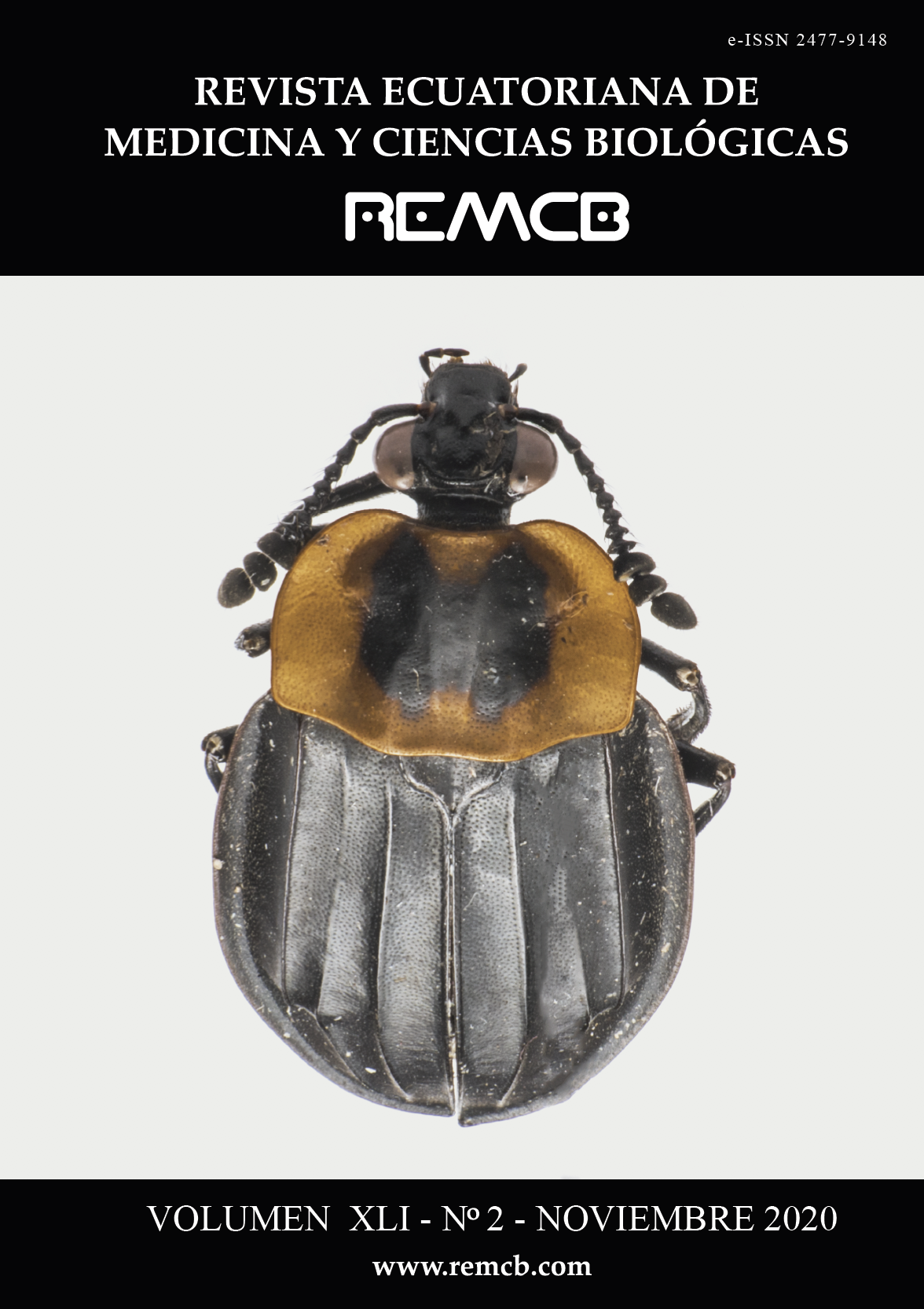 Fotografía de portada: Los Silphidae son una familia de coleópteros muchos de los cuales se alimentan de carne muerta. Entierran pequeños trozos de carne donde sus huevos son depositados por esta razón son conocidos como escarabajos enterradores.